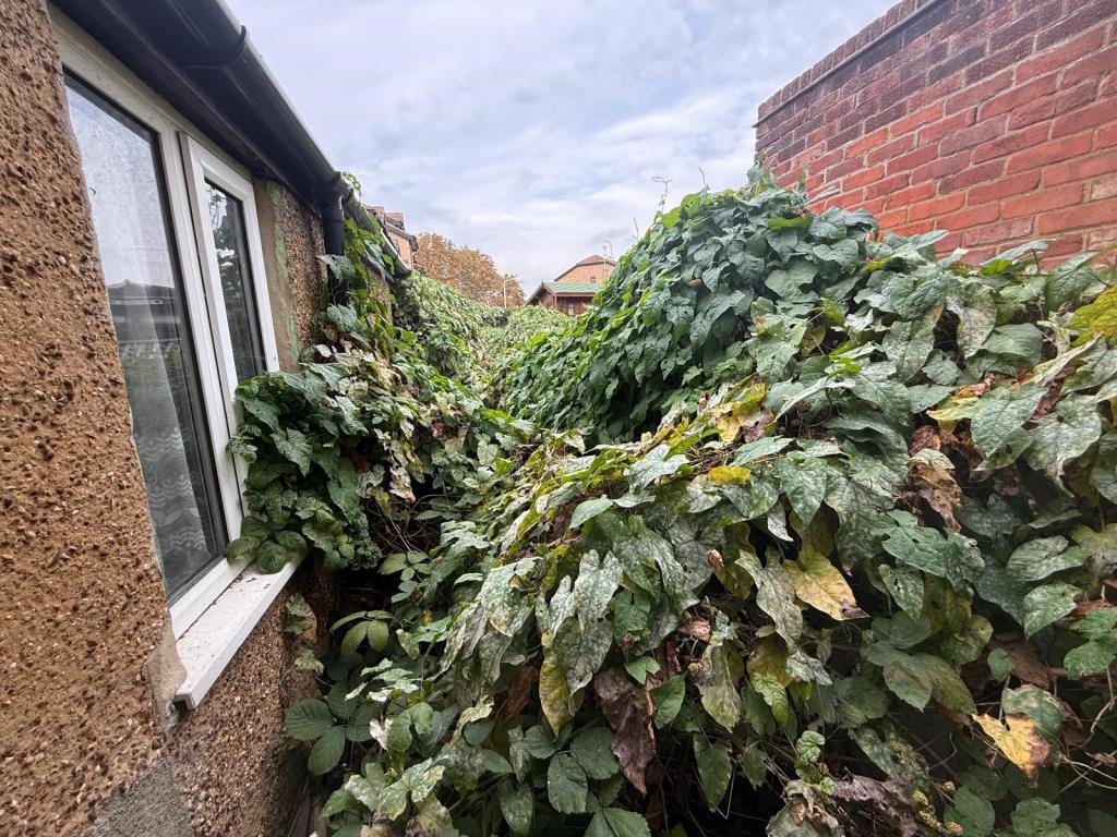 Lot: 173 - TERRACE HOUSE IN NEED OF REPAIR AND RENOVATION - Overgrown rear garden